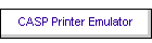 CASP Printer Emulator